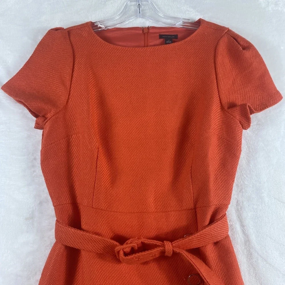NWT Ann Taylor Knit Dress Women Sz 6 Petite Orange Belt Knee Length Office Work - Picture 4 of 15